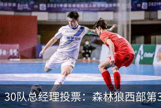 30队总经理投票：森林狼西部第3，却又被选为最难预测
